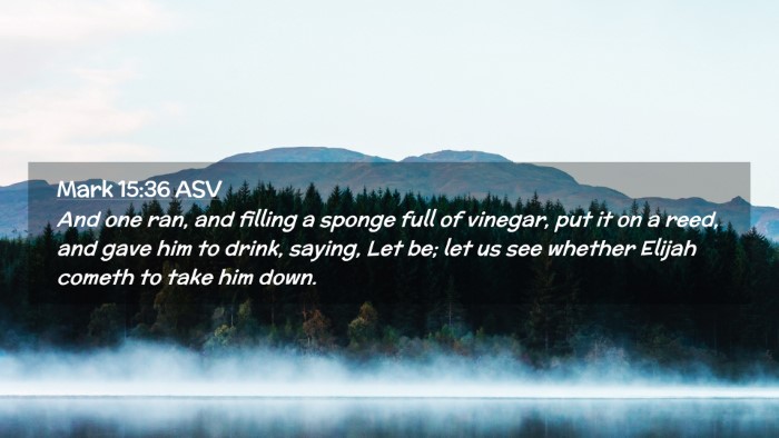Picture 02 - Mark 15:36 ASV Desktop Wallpaper - And one ran, and filling a sponge full of - Desktop Bible Verse Wallpaper