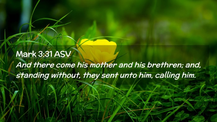 Picture 02 - Mark 3:31 ASV Desktop Wallpaper - And there come his mother and his brethren; and, - Desktop Bible Verse Wallpaper