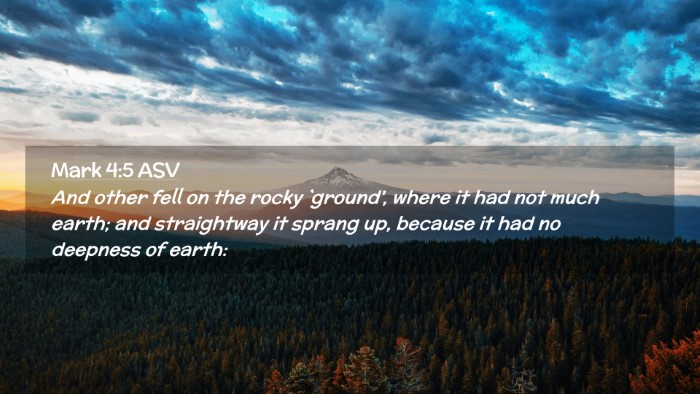 Picture 02 - Mark 4:5 ASV Desktop Wallpaper - And other fell on the rocky `ground', where it - Desktop Bible Verse Wallpaper
