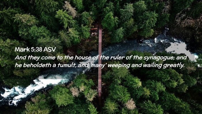 Picture 02 - Mark 5:38 ASV Desktop Wallpaper - And they come to the house of the ruler of the - Desktop Bible Verse Wallpaper