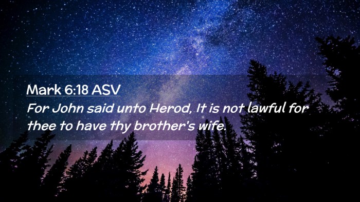 Picture 02 - Mark 6:18 ASV Desktop Wallpaper - For John said unto Herod, It is not lawful for - Desktop Bible Verse Wallpaper