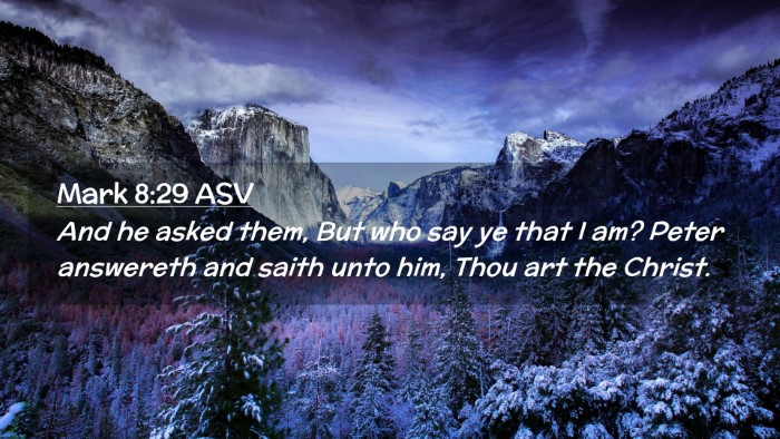 Picture 02 - Mark 8:29 ASV Desktop Wallpaper - And he asked them, But who say ye that I am? - Desktop Bible Verse Wallpaper