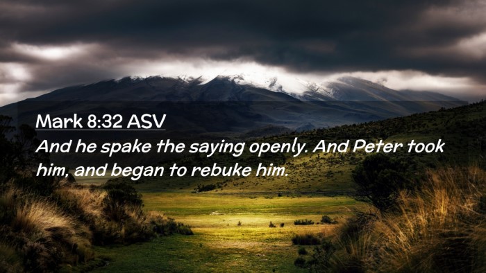 Picture 02 - Mark 8:32 ASV Desktop Wallpaper - And he spake the saying openly. And Peter took - Desktop Bible Verse Wallpaper