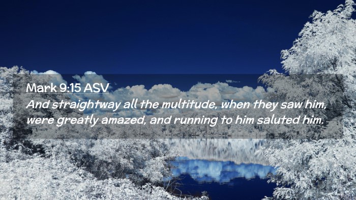 Picture 02 - Mark 9:15 ASV Desktop Wallpaper - And straightway all the multitude, when they saw - Desktop Bible Verse Wallpaper