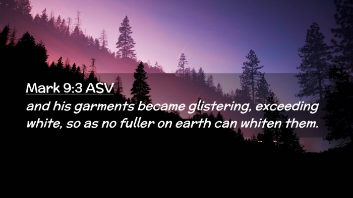 Picture 02 - Mark 9:3 ASV Desktop Wallpaper - and his garments became glistering, exceeding - Desktop Bible Verse Wallpaper