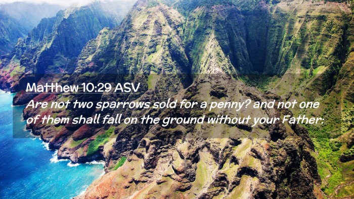 Picture 02 - Matthew 10:29 ASV Desktop Wallpaper - Are not two sparrows sold for a penny? and not - Desktop Bible Verse Wallpaper