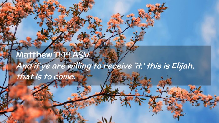 Picture 02 - Matthew 11:14 ASV Desktop Wallpaper - And if ye are willing to receive `it,' this is - Desktop Bible Verse Wallpaper