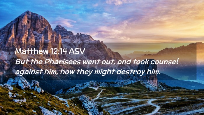 Picture 02 - Matthew 12:14 ASV Desktop Wallpaper - But the Pharisees went out, and took counsel - Desktop Bible Verse Wallpaper