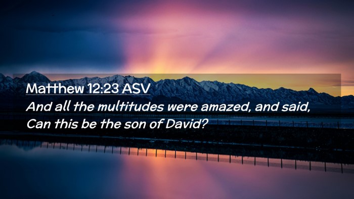 Picture 02 - Matthew 12:23 ASV Desktop Wallpaper - And all the multitudes were amazed, and said, Can - Desktop Bible Verse Wallpaper