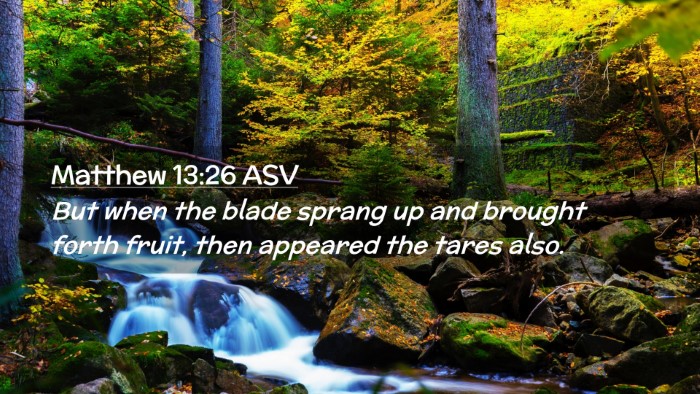 Picture 02 - Matthew 13:26 ASV Desktop Wallpaper - But when the blade sprang up and brought forth - Desktop Bible Verse Wallpaper