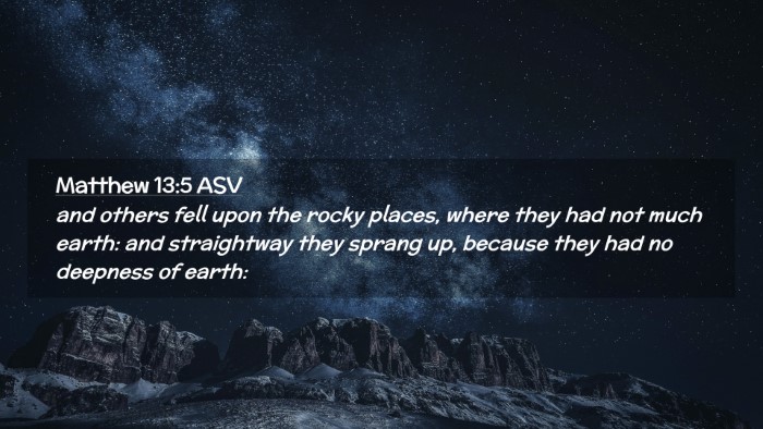 Picture 02 - Matthew 13:5 ASV Desktop Wallpaper - and others fell upon the rocky places, where they - Desktop Bible Verse Wallpaper