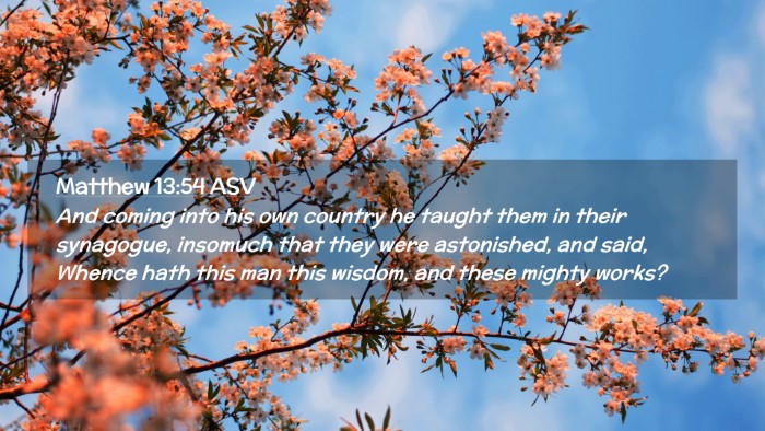 Picture 02 - Matthew 13:54 ASV Desktop Wallpaper - And coming into his own country he taught them in - Desktop Bible Verse Wallpaper