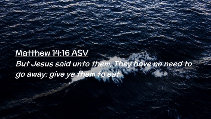 Picture 02 - Matthew 14:16 ASV Desktop Wallpaper - But Jesus said unto them, They have no need to go - Desktop Bible Verse Wallpaper