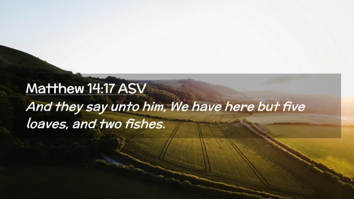 Picture 02 - Matthew 14:17 ASV Desktop Wallpaper - And they say unto him, We have here but five - Desktop Bible Verse Wallpaper