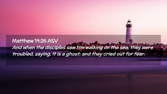 Picture 02 - Matthew 14:26 ASV Desktop Wallpaper - And when the disciples saw him walking on the - Desktop Bible Verse Wallpaper