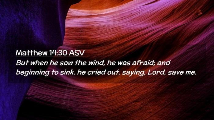Picture 02 - Matthew 14:30 ASV Desktop Wallpaper - But when he saw the wind, he was afraid; and - Desktop Bible Verse Wallpaper