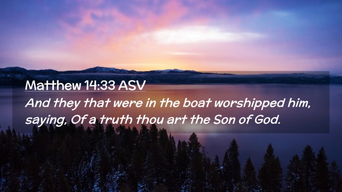 Picture 02 - Matthew 14:33 ASV Desktop Wallpaper - And they that were in the boat worshipped him, - Desktop Bible Verse Wallpaper