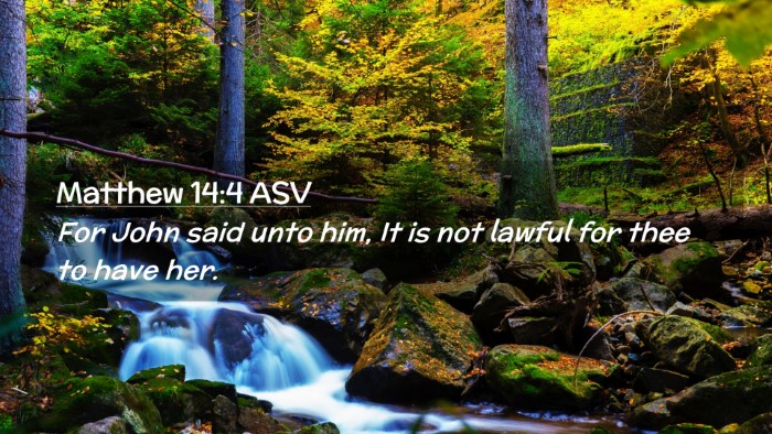 Picture 02 - Matthew 14:4 ASV Desktop Wallpaper - For John said unto him, It is not lawful for thee - Desktop Bible Verse Wallpaper