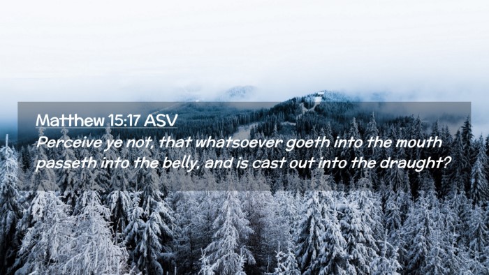 Picture 02 - Matthew 15:17 ASV Desktop Wallpaper - Perceive ye not, that whatsoever goeth into the - Desktop Bible Verse Wallpaper