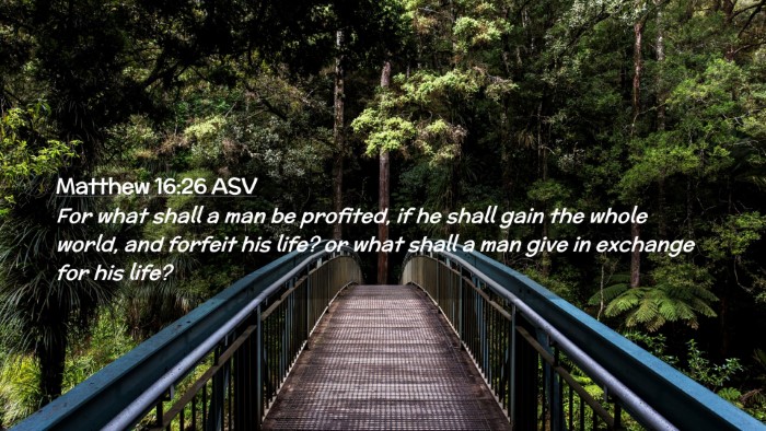 Picture 02 - Matthew 16:26 ASV Desktop Wallpaper - For what shall a man be profited, if he shall - Desktop Bible Verse Wallpaper