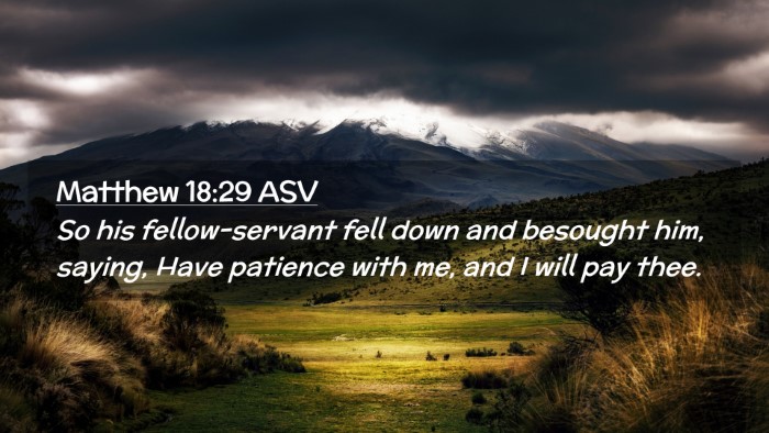 Picture 02 - Matthew 18:29 ASV Desktop Wallpaper - So his fellow-servant fell down and besought him, - Desktop Bible Verse Wallpaper
