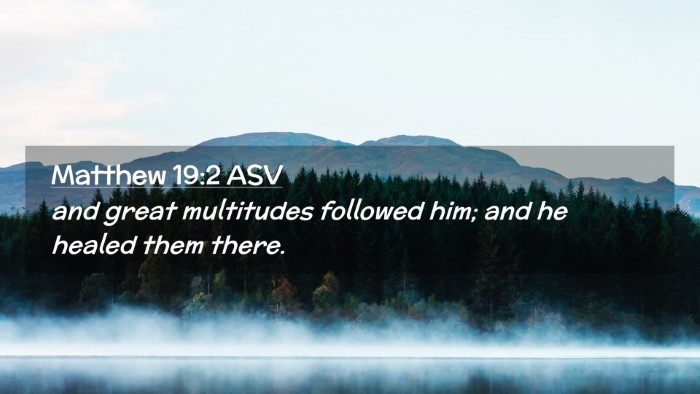 Picture 02 - Matthew 19:2 ASV Desktop Wallpaper - and great multitudes followed him; and he healed - Desktop Bible Verse Wallpaper