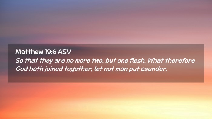 Picture 02 - Matthew 19:6 ASV Desktop Wallpaper - So that they are no more two, but one flesh. What - Desktop Bible Verse Wallpaper