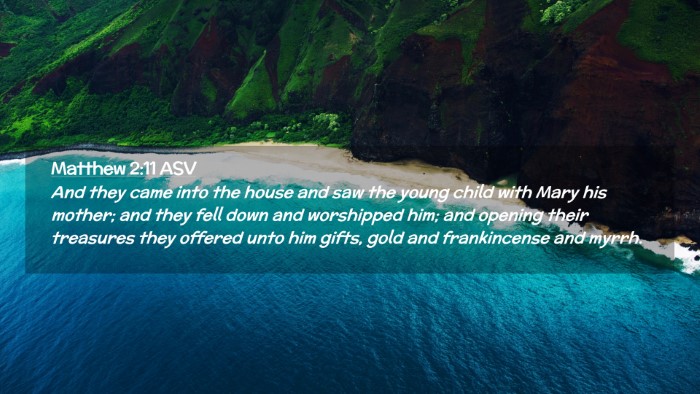 Picture 02 - Matthew 2:11 ASV Desktop Wallpaper - And they came into the house and saw the young - Desktop Bible Verse Wallpaper