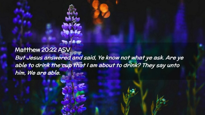 Picture 02 - Matthew 20:22 ASV Desktop Wallpaper - But Jesus answered and said, Ye know not what ye - Desktop Bible Verse Wallpaper