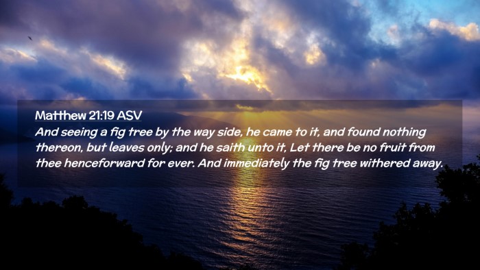 Picture 02 - Matthew 21:19 ASV Desktop Wallpaper - And seeing a fig tree by the way side, he came to - Desktop Bible Verse Wallpaper