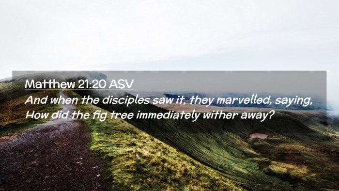 Picture 02 - Matthew 21:20 ASV Desktop Wallpaper - And when the disciples saw it, they marvelled, - Desktop Bible Verse Wallpaper