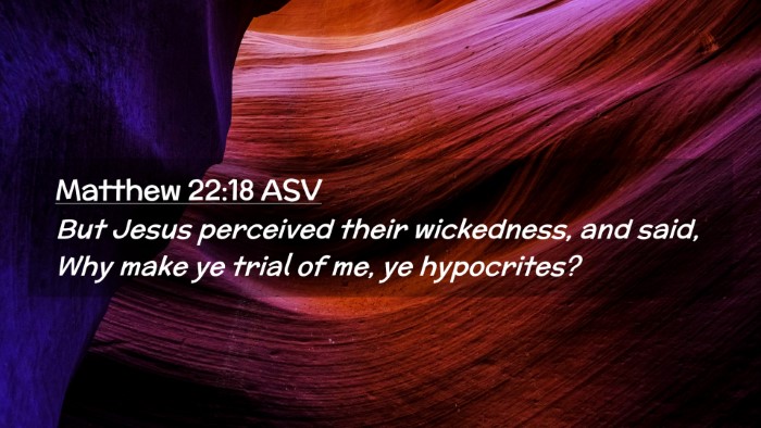 Picture 02 - Matthew 22:18 ASV Desktop Wallpaper - But Jesus perceived their wickedness, and said, - Desktop Bible Verse Wallpaper