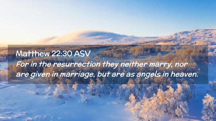 Picture 02 - Matthew 22:30 ASV Desktop Wallpaper - For in the resurrection they neither marry, nor - Desktop Bible Verse Wallpaper