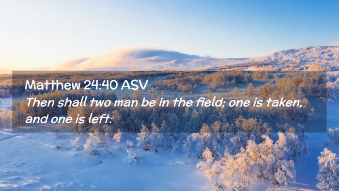 Picture 02 - Matthew 24:40 ASV Desktop Wallpaper - Then shall two man be in the field; one is taken, - Desktop Bible Verse Wallpaper