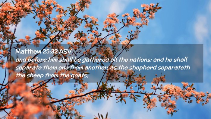 Picture 02 - Matthew 25:32 ASV Desktop Wallpaper - and before him shall be gathered all the nations: - Desktop Bible Verse Wallpaper