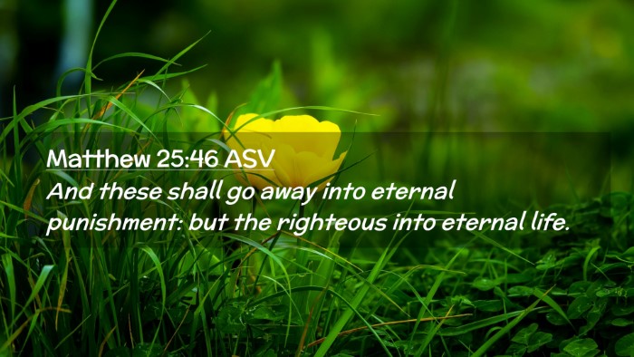 Picture 02 - Matthew 25:46 ASV Desktop Wallpaper - And these shall go away into eternal punishment: - Desktop Bible Verse Wallpaper