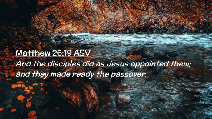 Picture 02 - Matthew 26:19 ASV Desktop Wallpaper - And the disciples did as Jesus appointed them; - Desktop Bible Verse Wallpaper