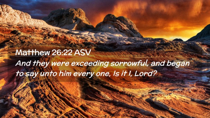 Picture 02 - Matthew 26:22 ASV Desktop Wallpaper - And they were exceeding sorrowful, and began to - Desktop Bible Verse Wallpaper