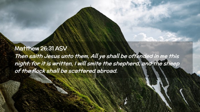 Picture 02 - Matthew 26:31 ASV Desktop Wallpaper - Then saith Jesus unto them, All ye shall be - Desktop Bible Verse Wallpaper