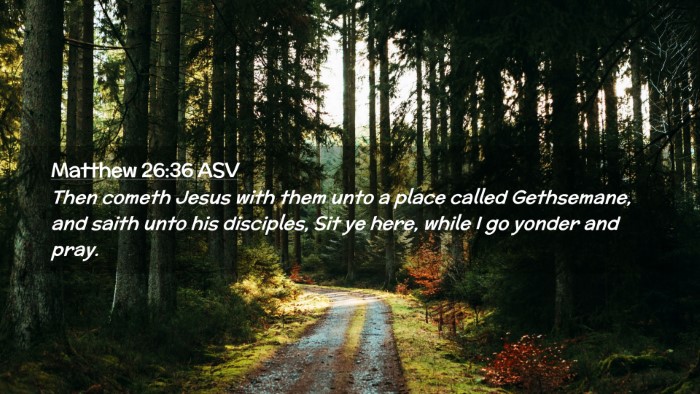 Picture 02 - Matthew 26:36 ASV Desktop Wallpaper - Then cometh Jesus with them unto a place called - Desktop Bible Verse Wallpaper