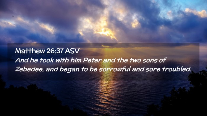 Picture 02 - Matthew 26:37 ASV Desktop Wallpaper - And he took with him Peter and the two sons of - Desktop Bible Verse Wallpaper