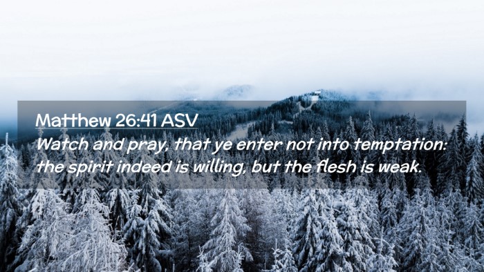 Picture 02 - Matthew 26:41 ASV Desktop Wallpaper - Watch and pray, that ye enter not into - Desktop Bible Verse Wallpaper
