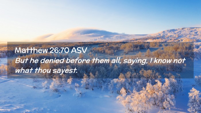 Picture 02 - Matthew 26:70 ASV Desktop Wallpaper - But he denied before them all, saying, I know not - Desktop Bible Verse Wallpaper