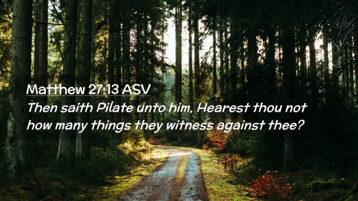 Picture 02 - Matthew 27:13 ASV Desktop Wallpaper - Then saith Pilate unto him, Hearest thou not how - Desktop Bible Verse Wallpaper