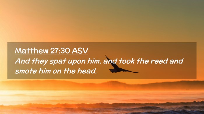 Picture 02 - Matthew 27:30 ASV Desktop Wallpaper - And they spat upon him, and took the reed and - Desktop Bible Verse Wallpaper