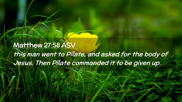 Picture 02 - Matthew 27:58 ASV Desktop Wallpaper - this man went to Pilate, and asked for the body - Desktop Bible Verse Wallpaper