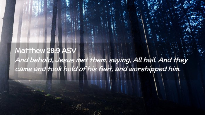 Picture 02 - Matthew 28:9 ASV Desktop Wallpaper - And behold, Jesus met them, saying, All hail. And - Desktop Bible Verse Wallpaper