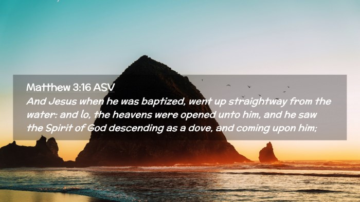 Picture 02 - Matthew 3:16 ASV Desktop Wallpaper - And Jesus when he was baptized, went up - Desktop Bible Verse Wallpaper