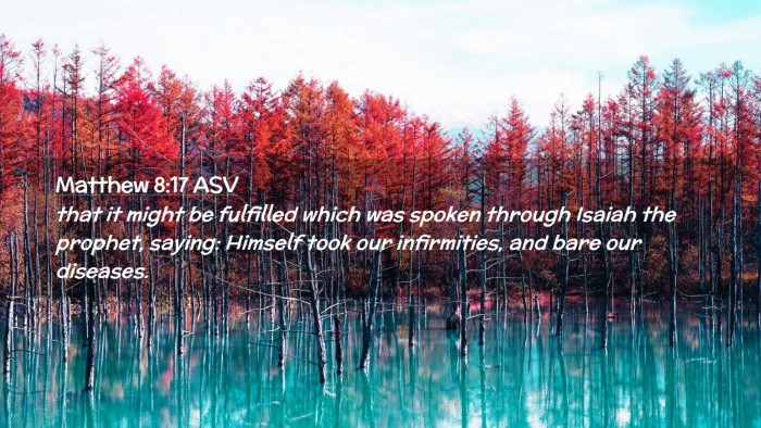 Picture 02 - Matthew 8:17 ASV Desktop Wallpaper - that it might be fulfilled which was spoken - Desktop Bible Verse Wallpaper