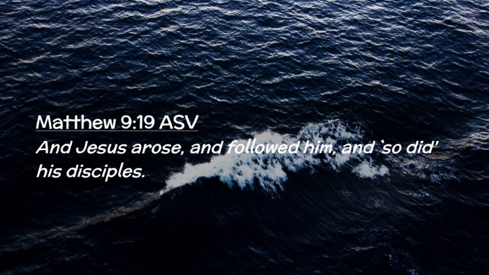 Picture 02 - Matthew 9:19 ASV Desktop Wallpaper - And Jesus arose, and followed him, and `so did' - Desktop Bible Verse Wallpaper